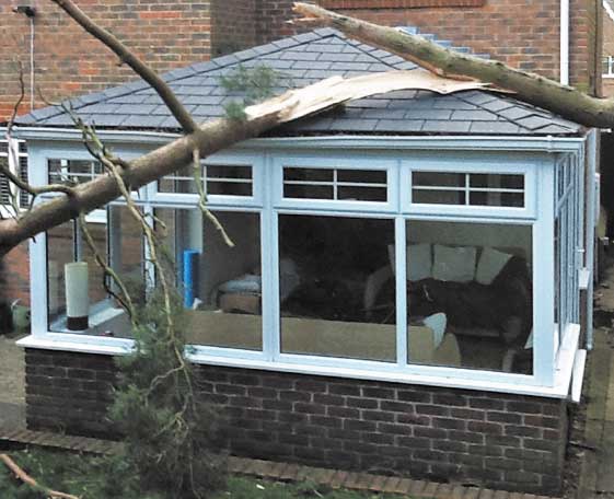 PCL Built conservatory roof versus tree
